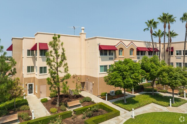 Primary Photo - Telacu Buena Vista