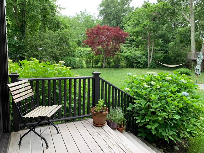 Building Photo - 81 Hampton St