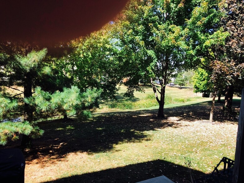 Building Photo - 8179 Rochester Way