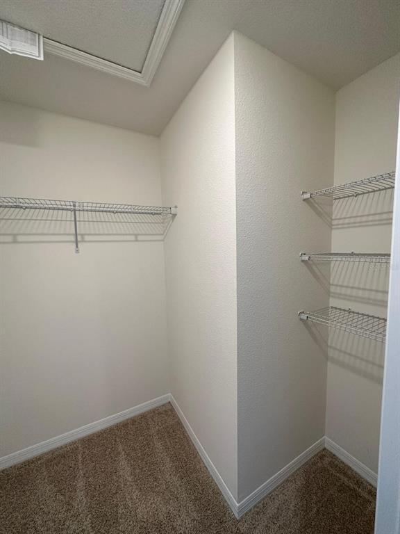 Building Photo - 2017 King Ranch St