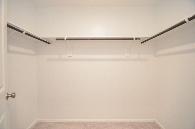 Building Photo - 4126 Brazos Brk Trl