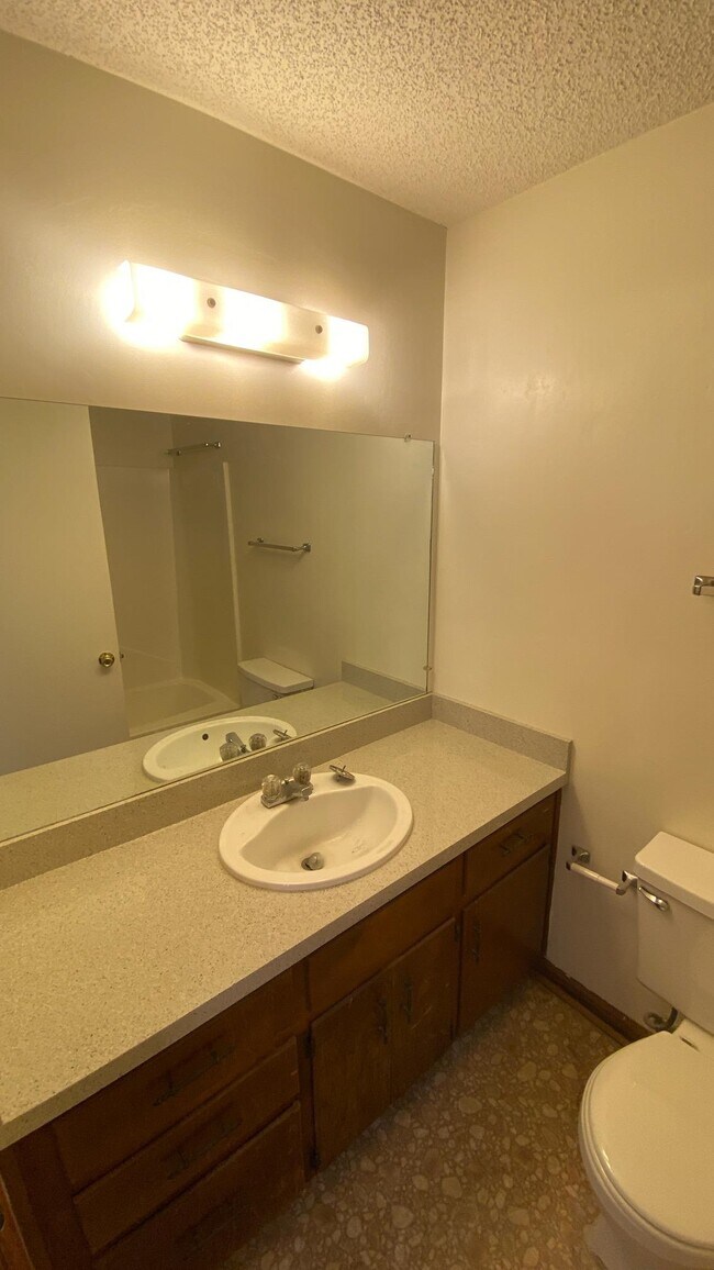 Building Photo - 786 Timberway Ct