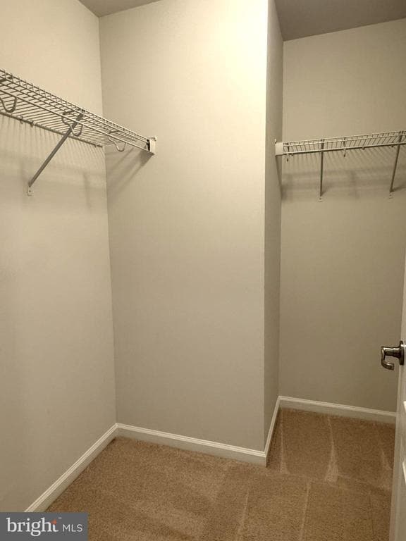 Building Photo - 4812 Dane Ridge Cir