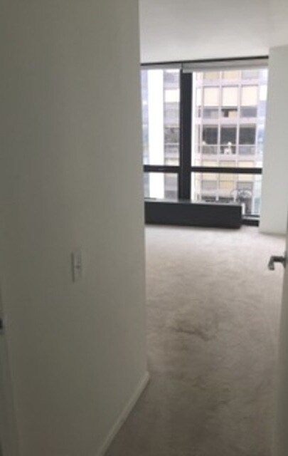 Building Photo - 910 N Lake Shore Dr