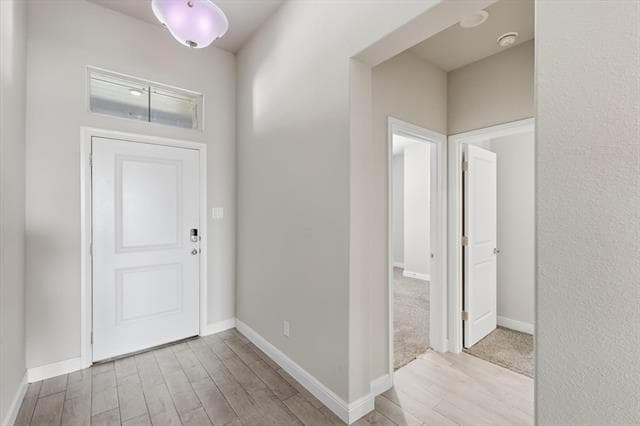 Building Photo - 249 Irish Moss Dr