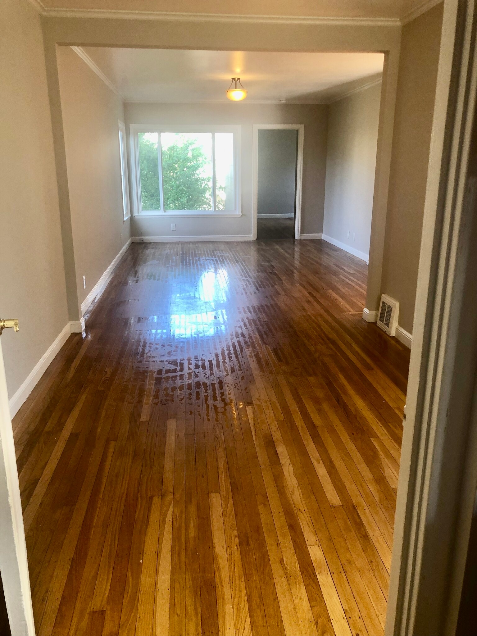 Building Photo - 1280 38th Ave