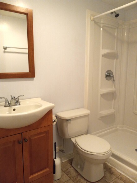 Basement full bath - 6146 Franconia Station Ln