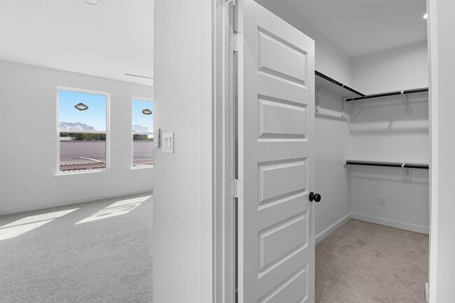 Building Photo - 2923 El Fenice Ln