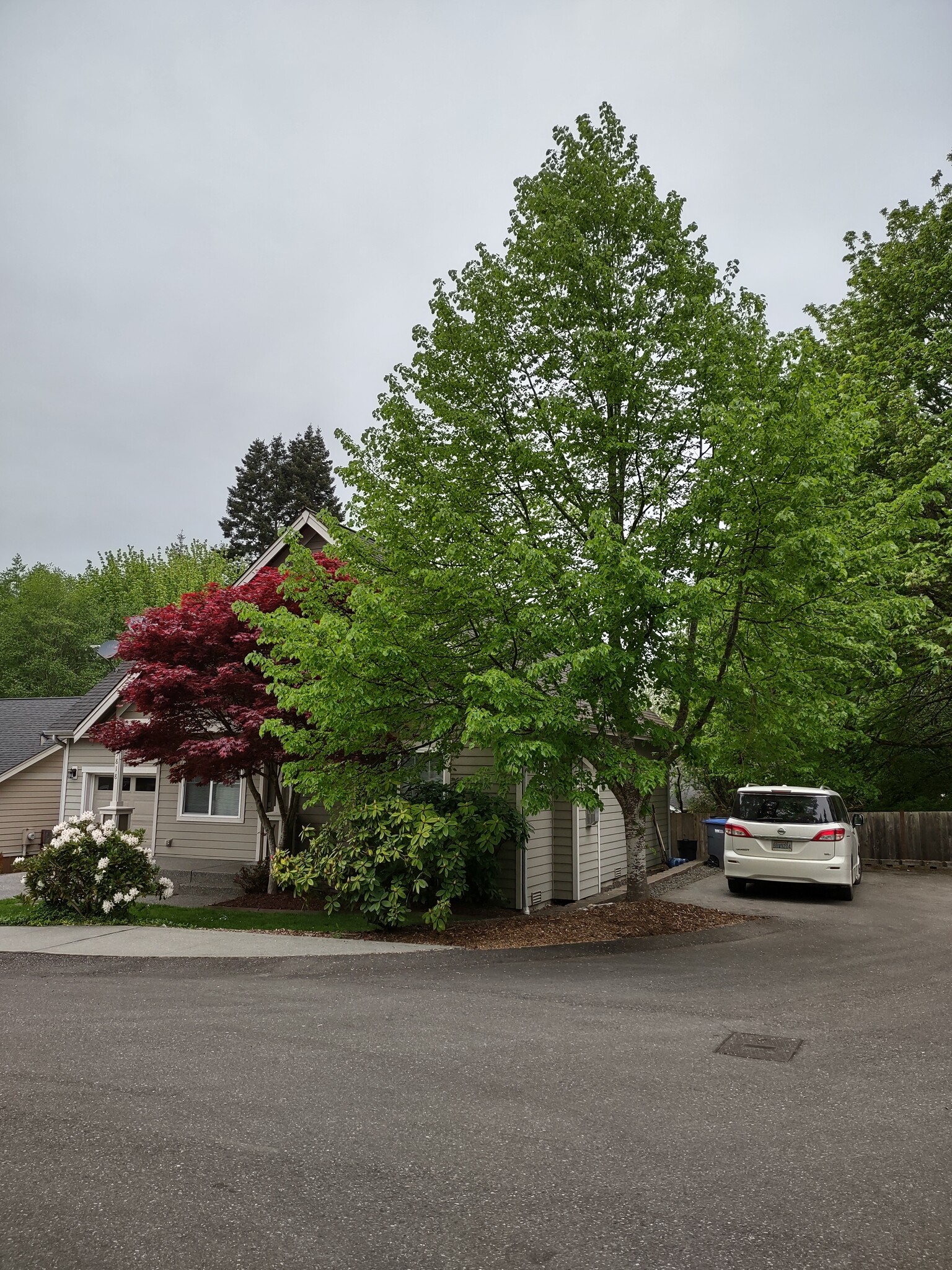 Side home - 25818 Arklow Pl NE