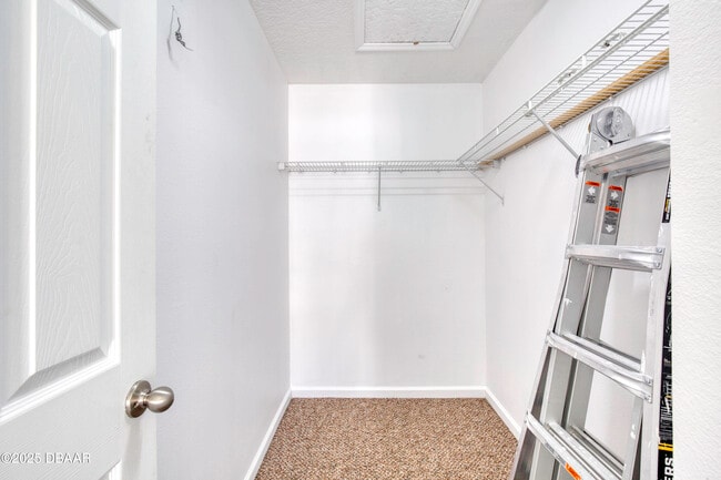 Building Photo - 637 Mount Olympus Blvd