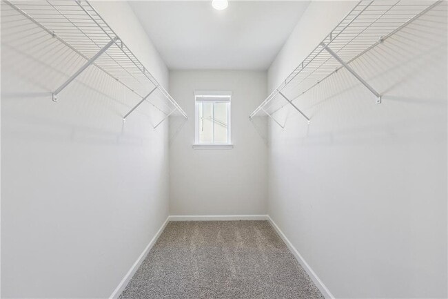 Building Photo - 4237 Tin Hare Ln