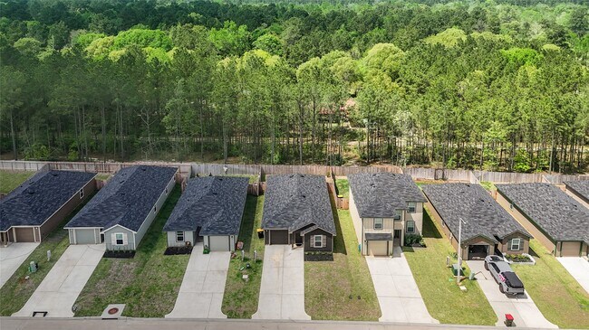 Building Photo - 12339 McCrorey Trails Court