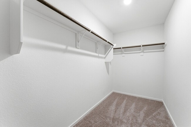 Building Photo - 26017 Hampshire Dr