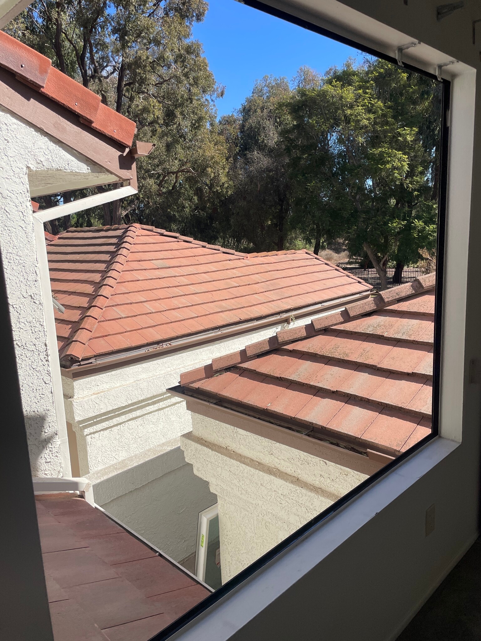 Building Photo - 1321 Calle Lozano