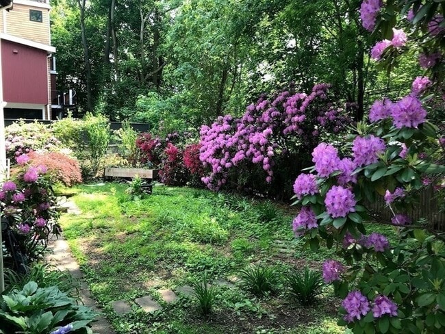 Building Photo - 28 Beaconsfield Rd