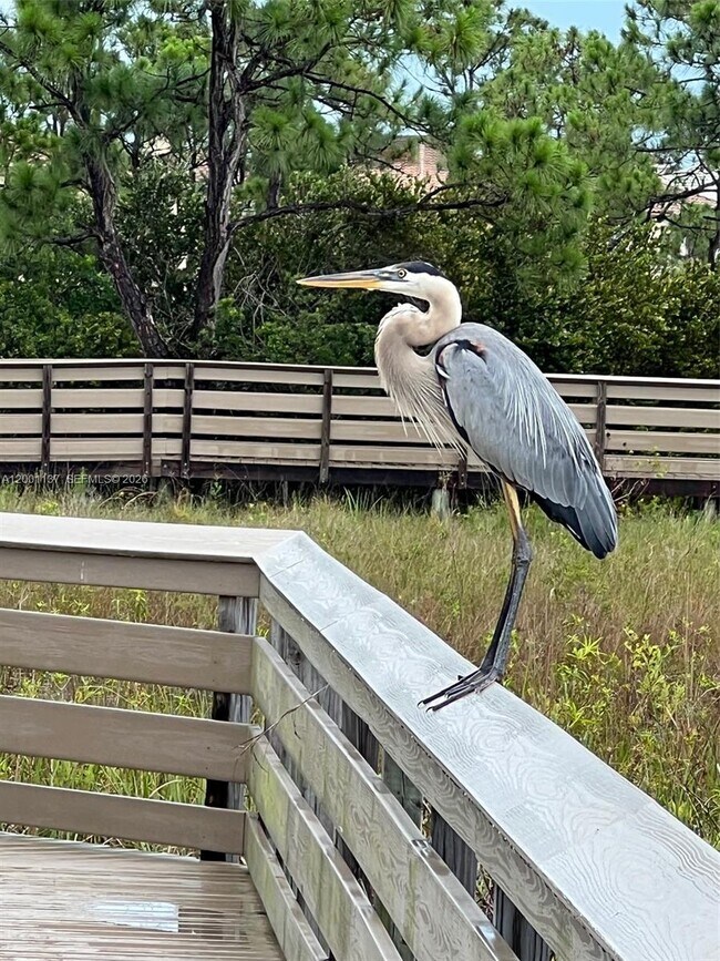 Building Photo - 184 W Bay Cedar Cir