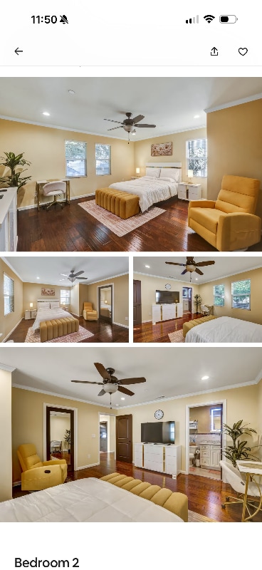 Building Photo - 523 Fischer St