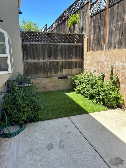 backyard - 980 La Costa Ct