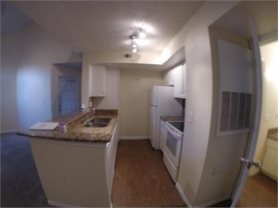 Building Photo - 413 Fountainhead Cir