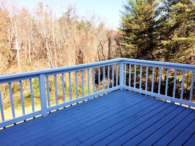 Building Photo - Charming North Asheville Cape Cod