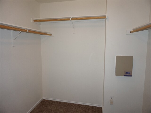 Building Photo - 1520 Wind Star Way