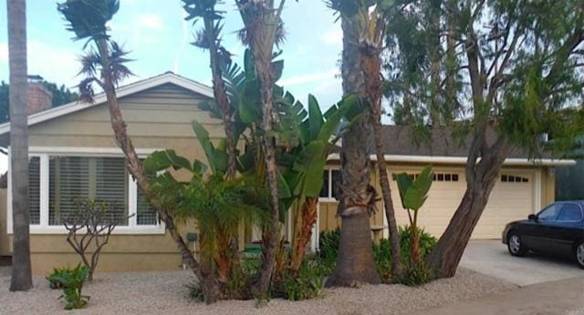 Primary Photo - 344 Ricardo Pl