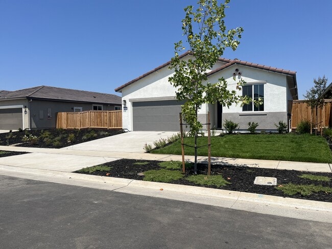 Building Photo - 1083 Camomile Dr