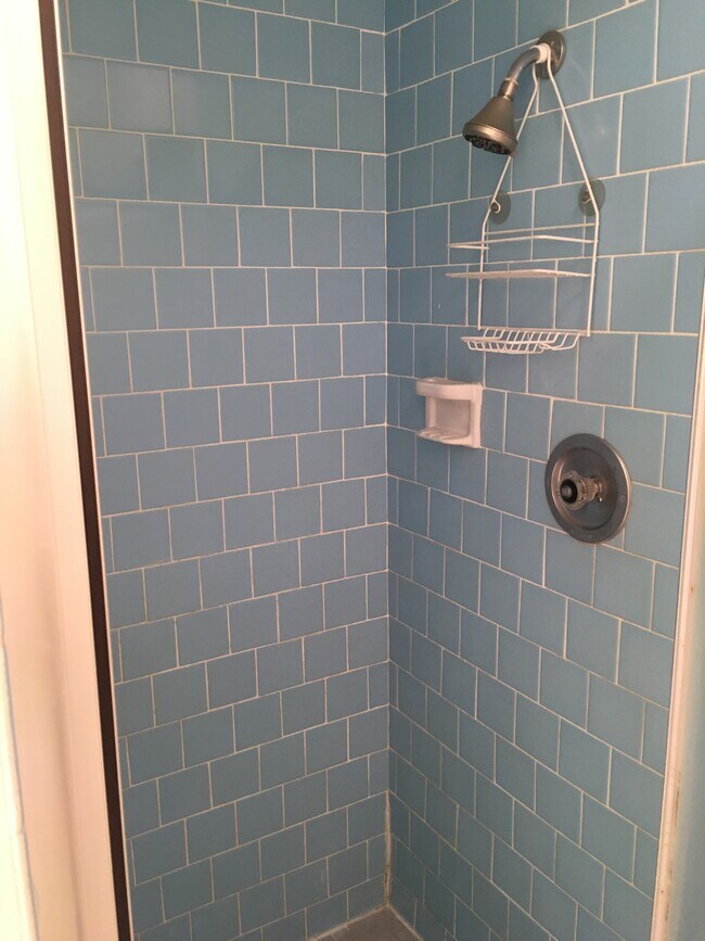 separate shower - 1187 E 3rd St