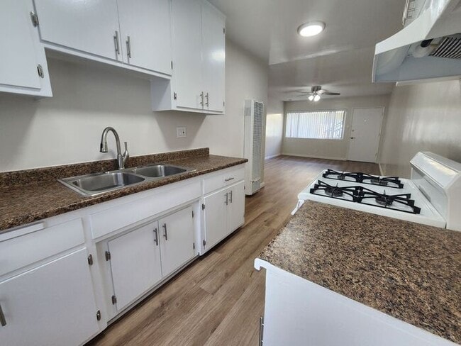 Building Photo - Updated LARGE Bright Lower One Bedroom in ...