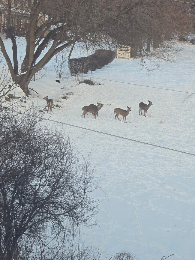 Building Photo - 184 Ridgeview St