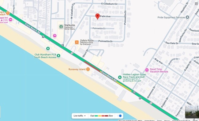 Building Photo - Palm Heaven!!Application and more info @ https://www.sandseekerrealty.com/long-term-rentals/. Cli...