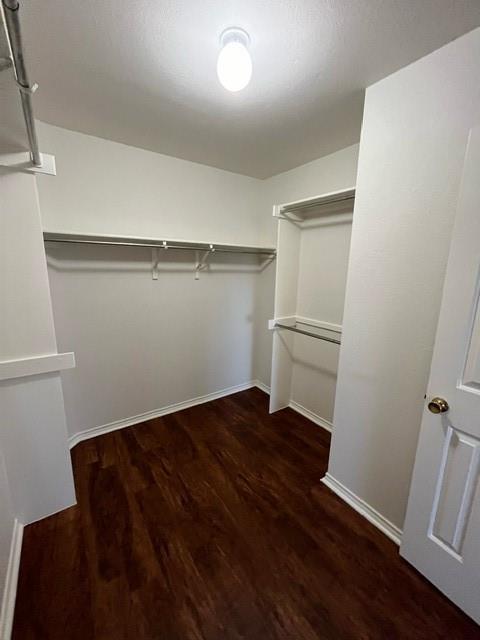 Building Photo - 908 Rocking Spur Cove