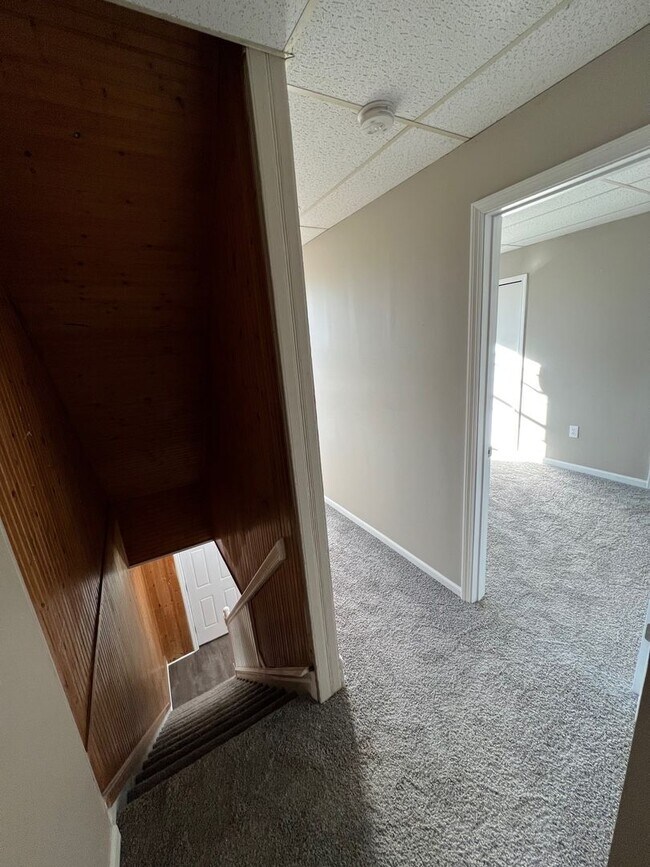Building Photo - Newly Renovated 3 Bedroom, 1 Bathroom in Spring Hill- Central Air and Brand New Kitchen!!