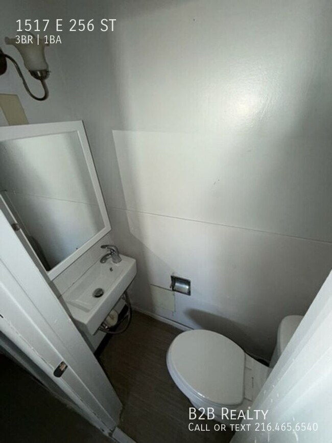 Building Photo - 1517 E 256th St