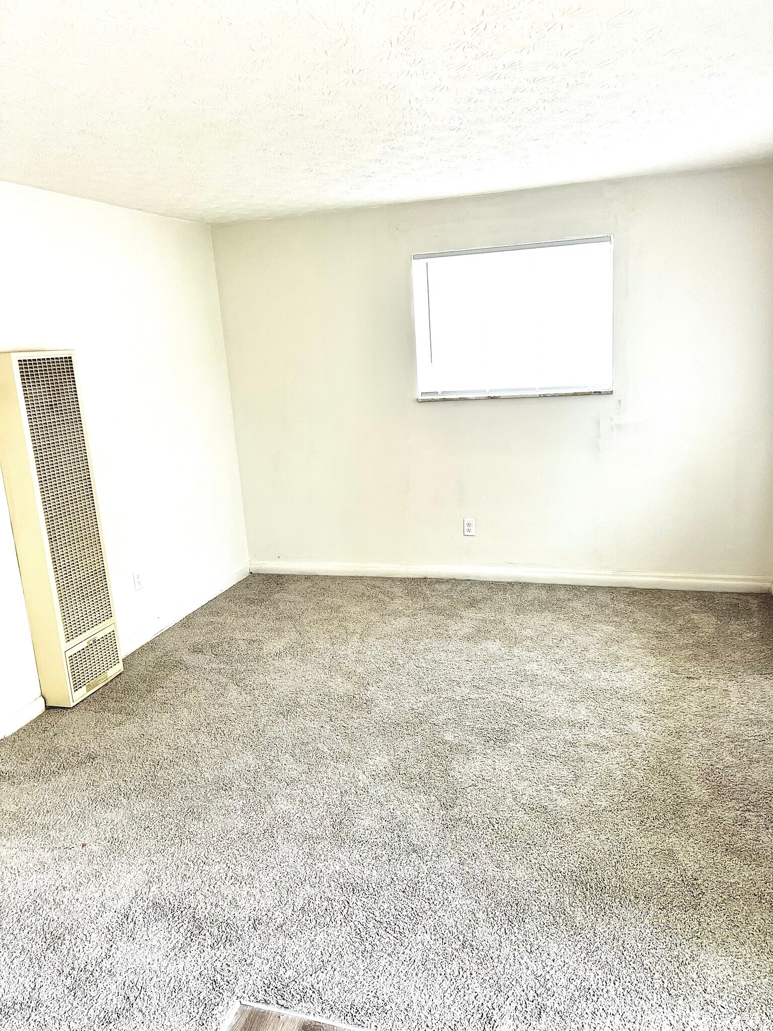 newly carpeted living room with large windows - 1965 Vaughn St