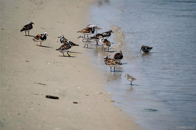 Building Photo - 846 Dune Rd