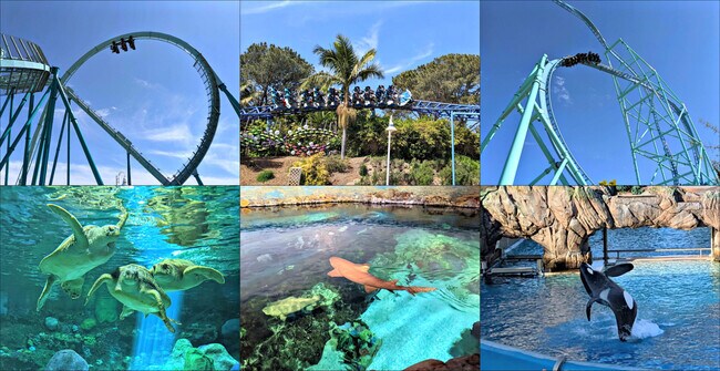 Dive into aquatic adventures at the nearby water park and explore the wonders of SeaWorld - 2304 E 14th St