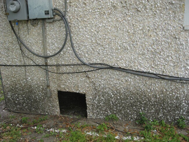 Building Photo - cute house