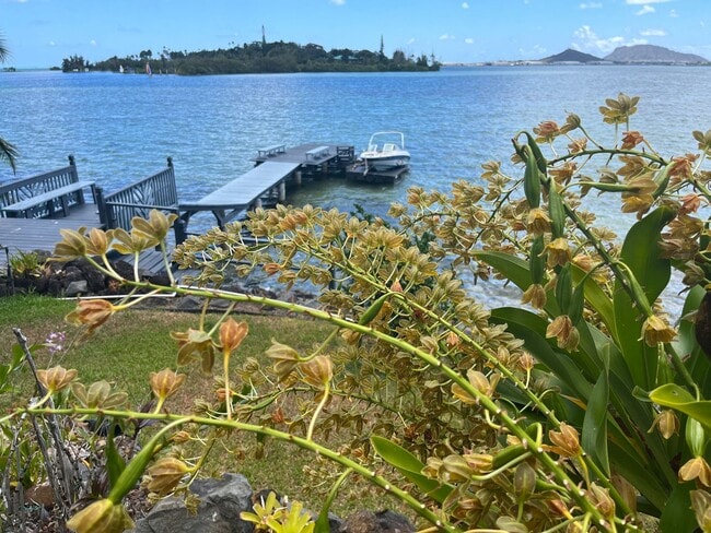 Building Photo - Hawaii living at its best.  Beautiful Kaneohe Bay front.