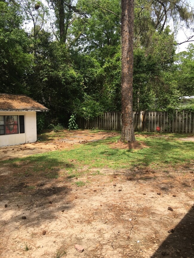 Building Photo - 3/1.5 Home Walking /Biking Distance to FSU
