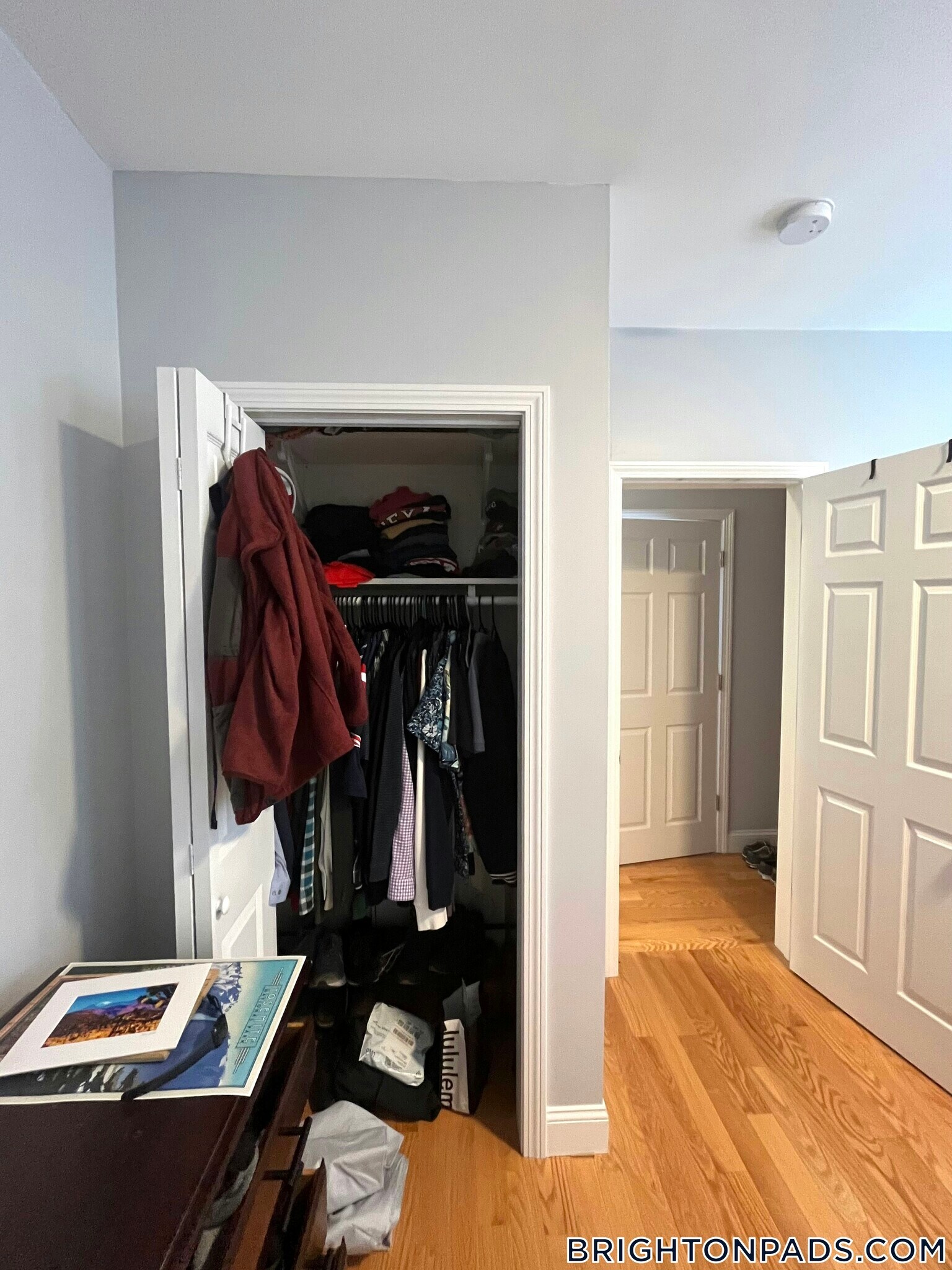 Building Photo - 29 Waverly St