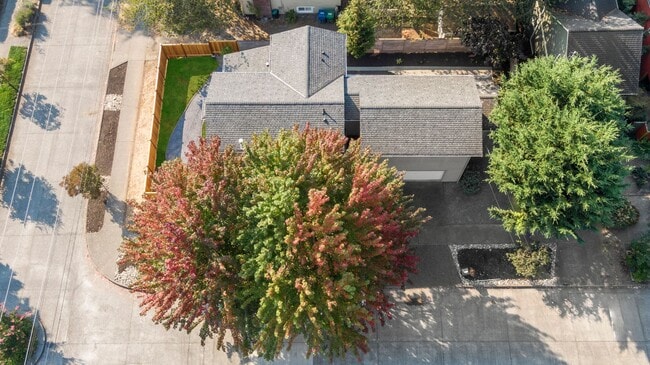 Building Photo - Big Brilliant Greenwood Home: 87th and Linden