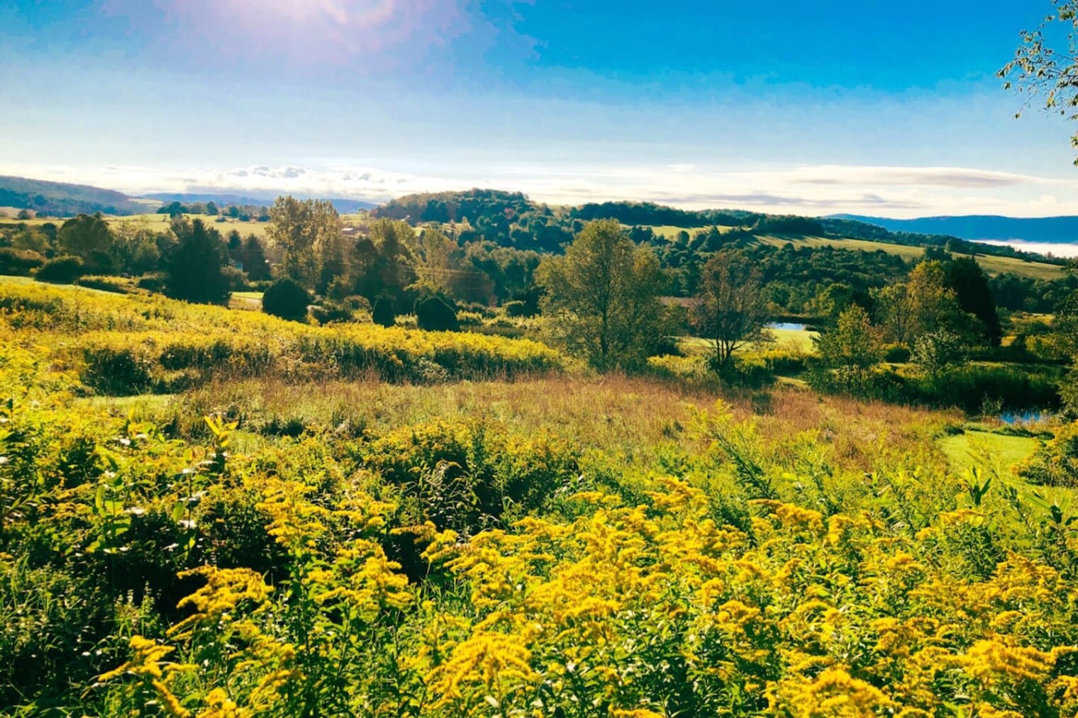 Building Photo - 3924 Hamden Hill Rd