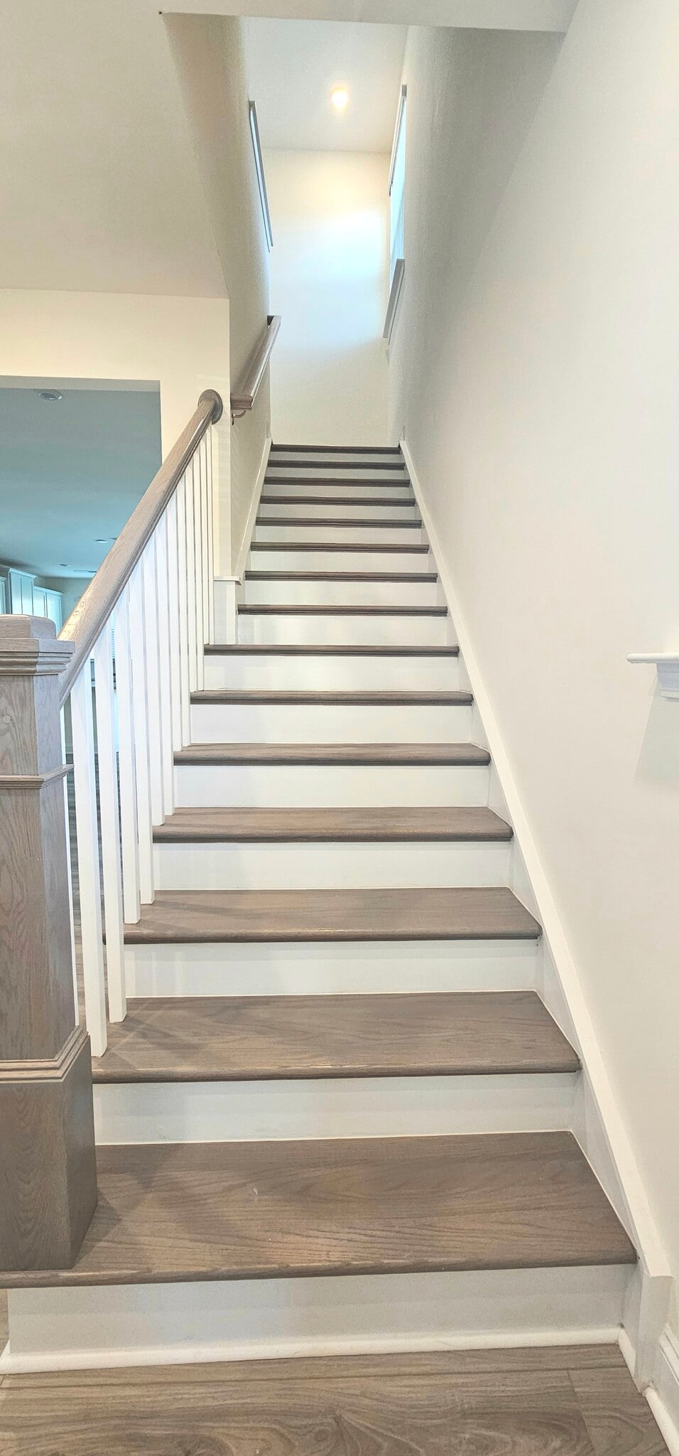 Building Photo - 1534 Cedar Tree Dr