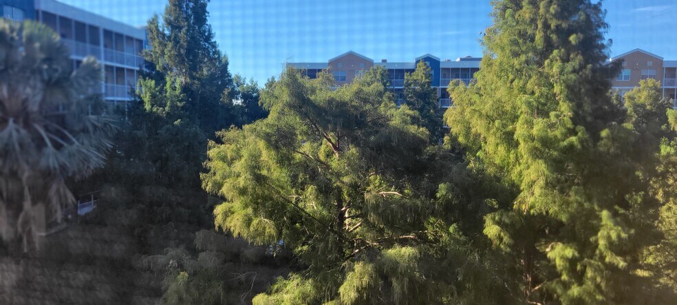 View from Balcony - 960 Starkey Rd