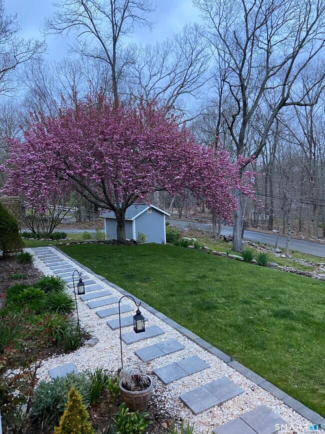 Building Photo - 237 Chestnut Hill Rd