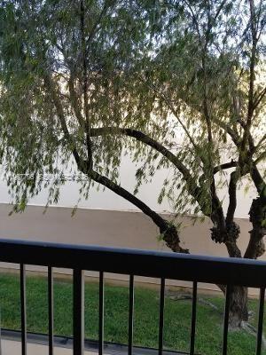 Building Photo - 10425 SW 112th Ave