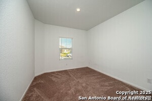 Building Photo - 31815 Christmas Rose