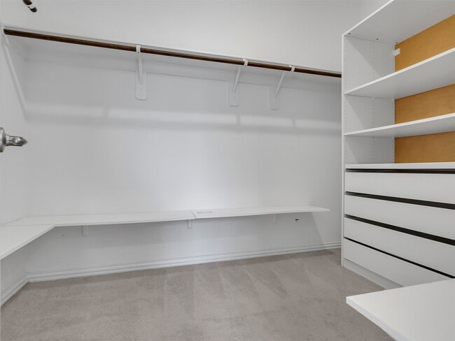 Building Photo - 2531 Sandbar Shark Ct