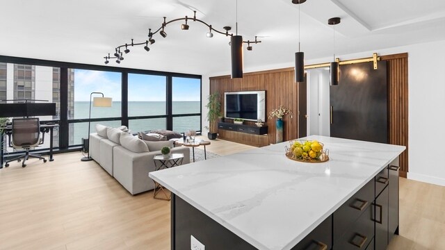 Building Photo - 900 N Lake Shore Dr